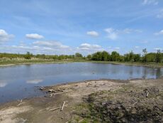 Wasserstandsstabilisierung Boizer Sack